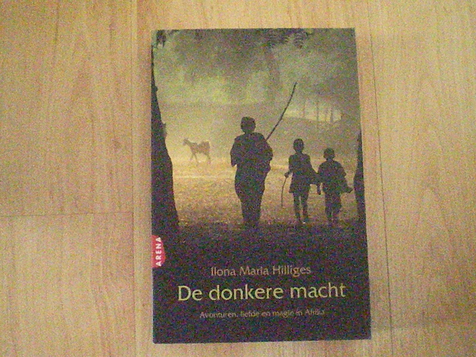 Hilliges, Ilona Maria - De donkere macht