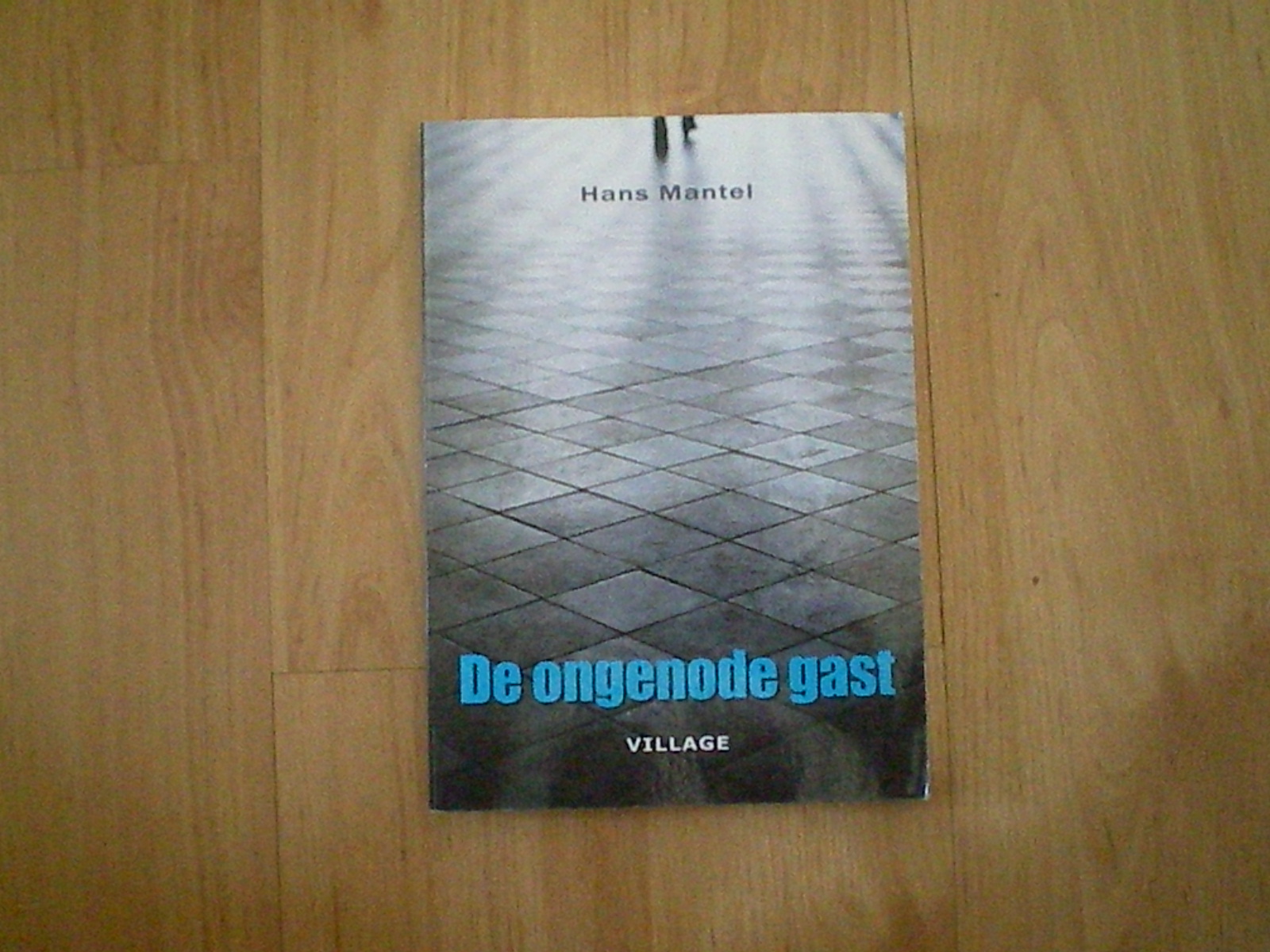 Mantel, Hans - De ongenode gast
