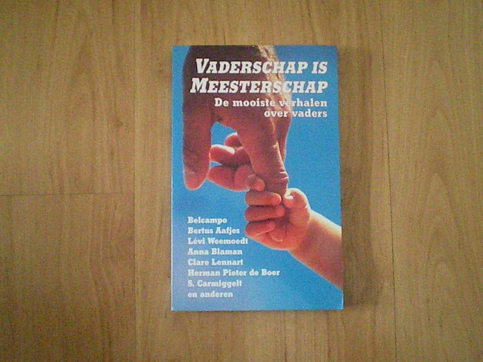 Diversen - Vaderschap is meesterschap