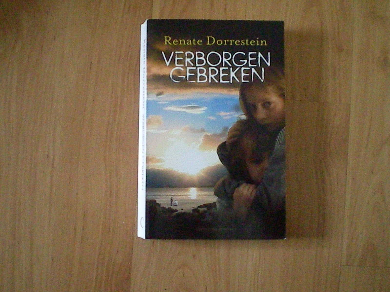 Dorrestein, Renate - Verborgen gebreken