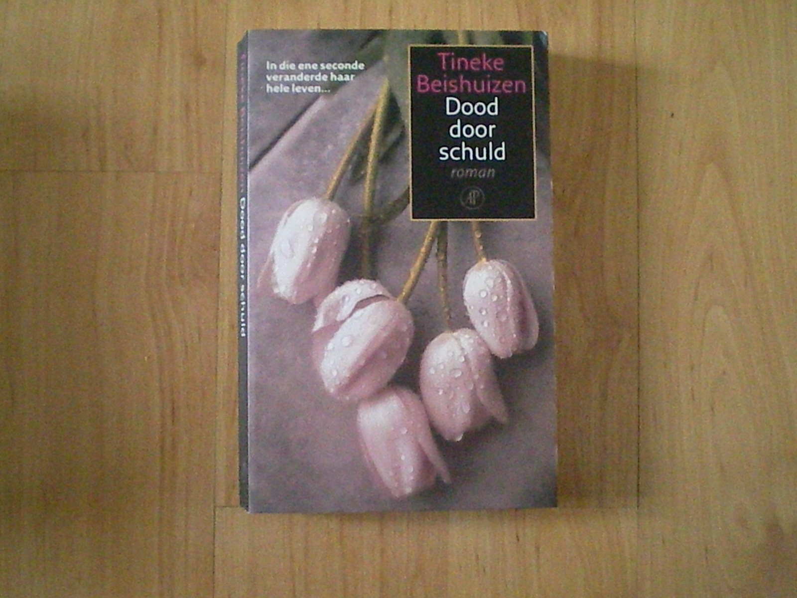 Beishuizen, Tineke - Dood door schuld