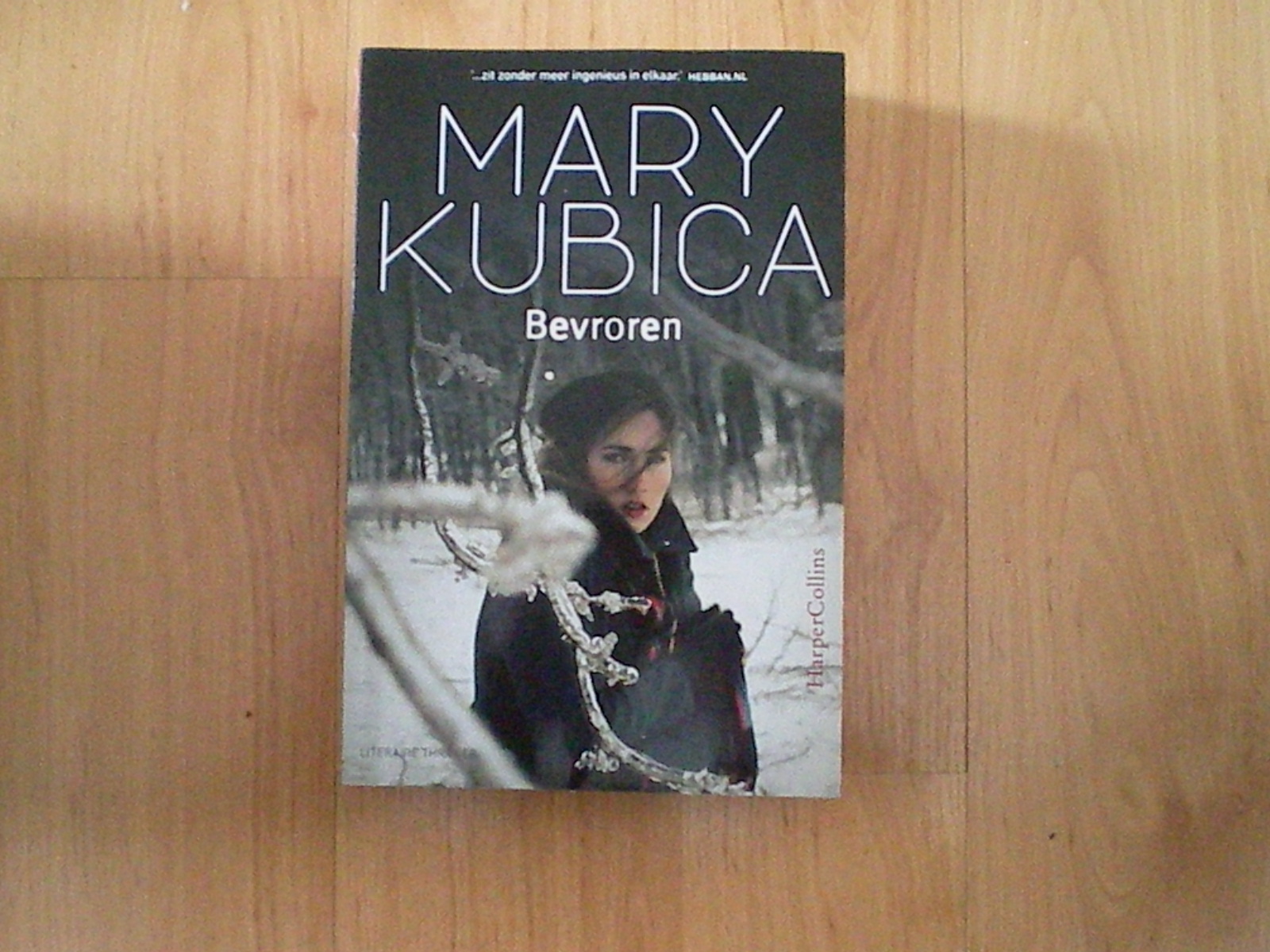 Kubica, Mary - Bevroren