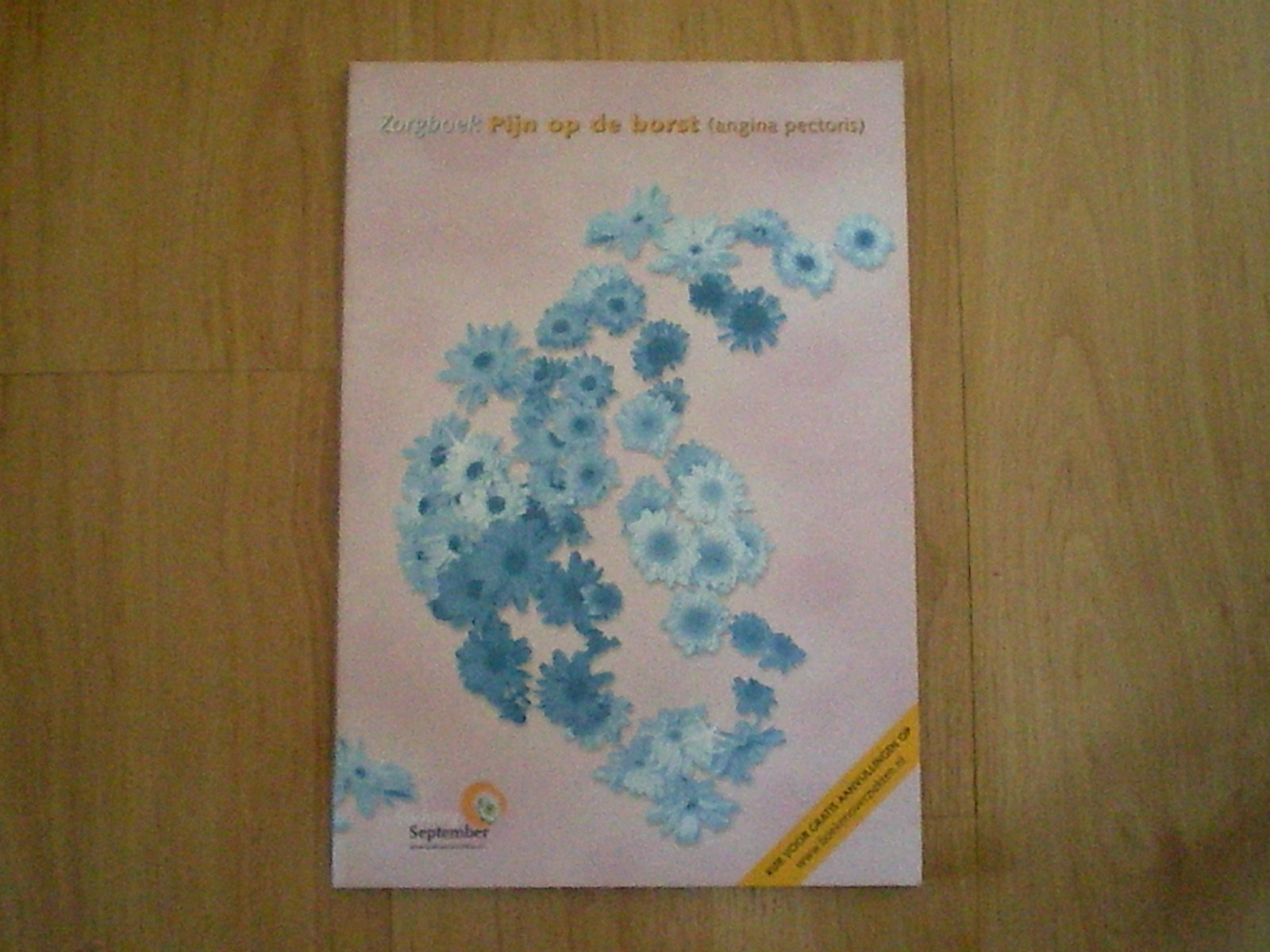 Zorgboek pijn op de borst (angina pectoris)
