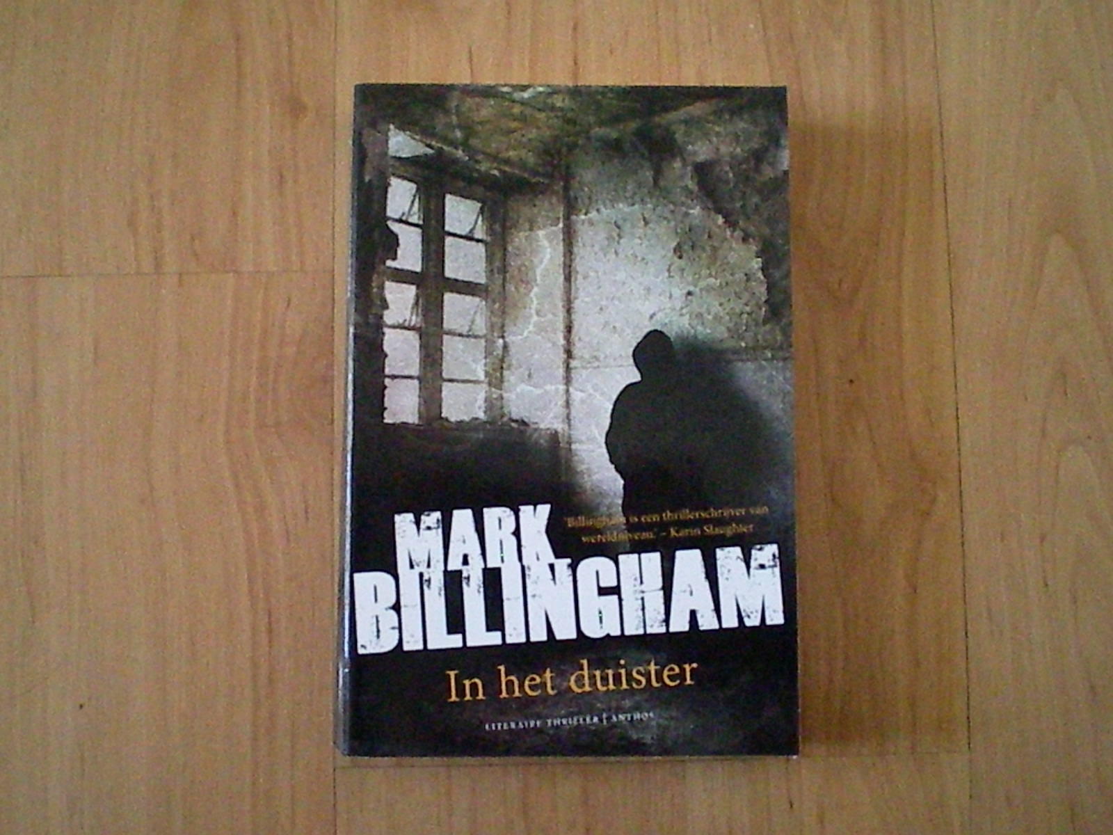 Billingham, Mark - In het duister