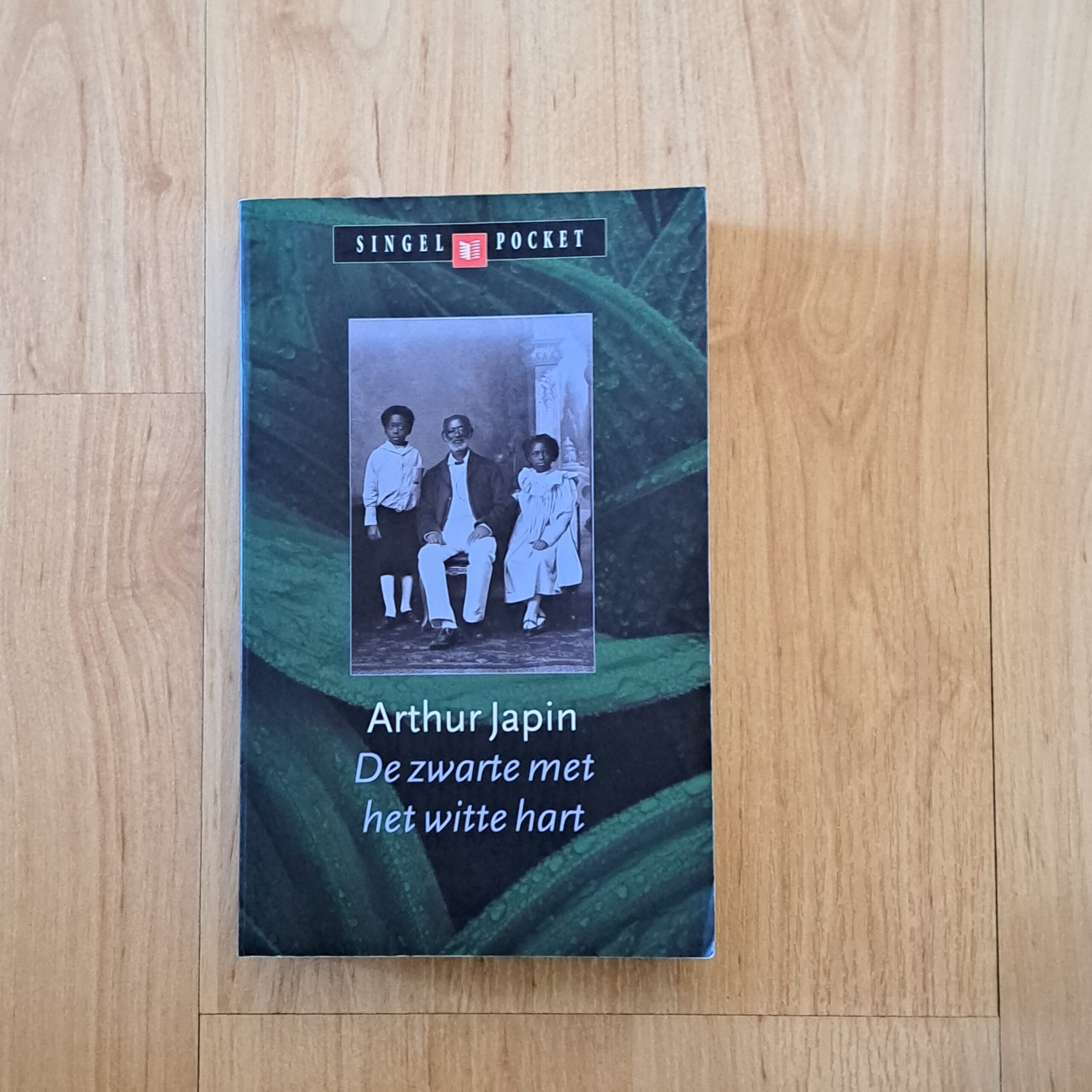 Japin, Arthur - De zwarte met het witte hart