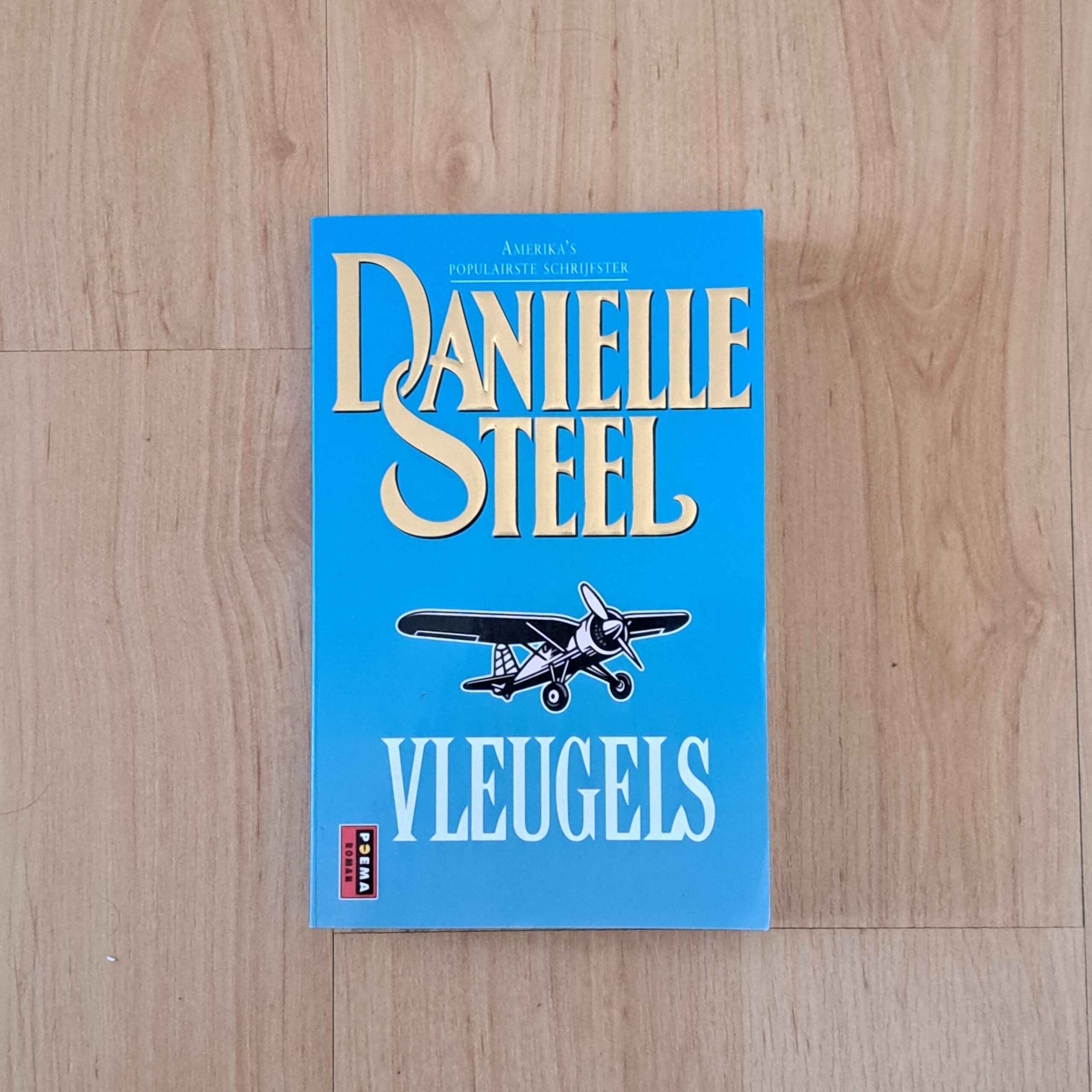 Steel, Danielle - Vleugels