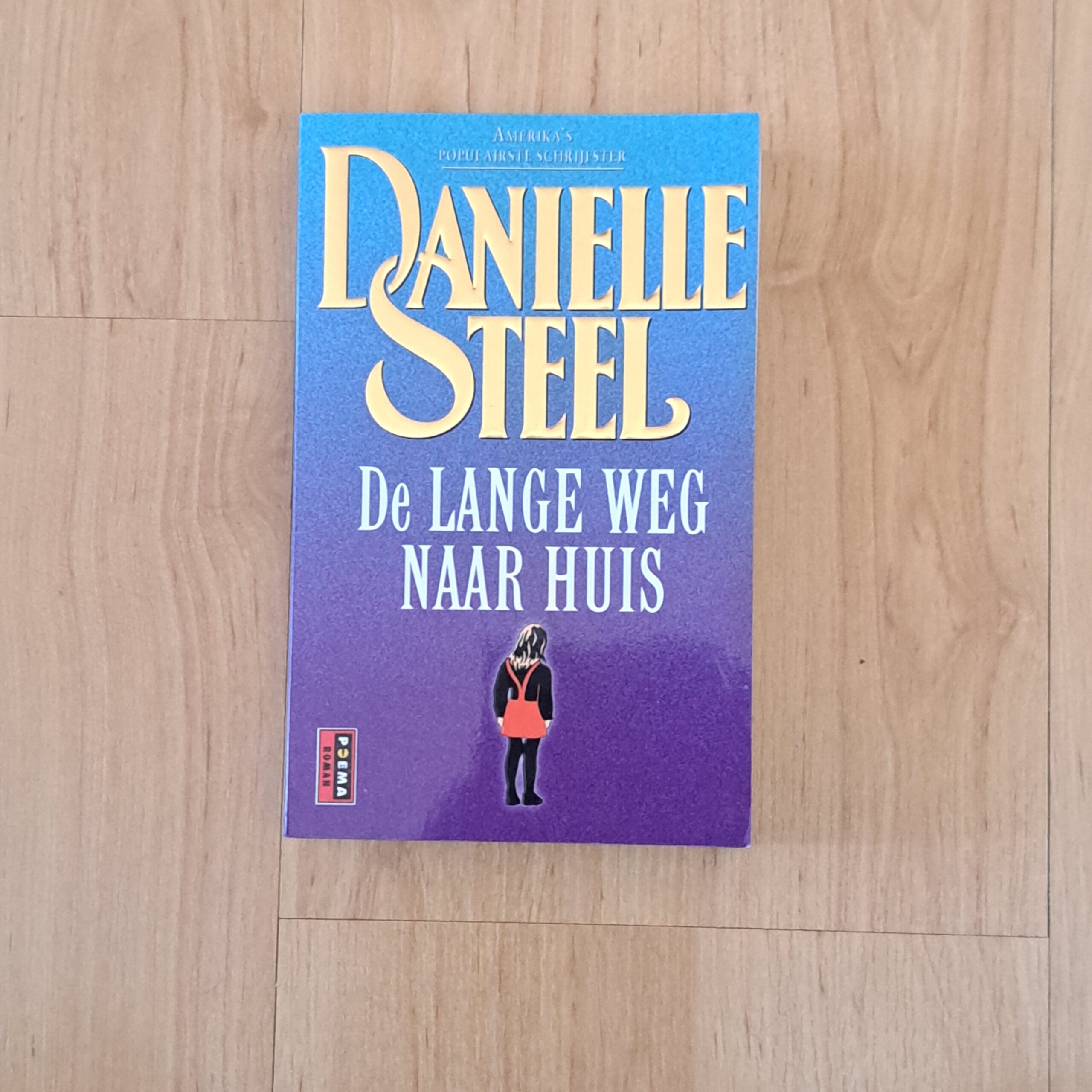 Steel, Danielle - De lange weg naar huis
