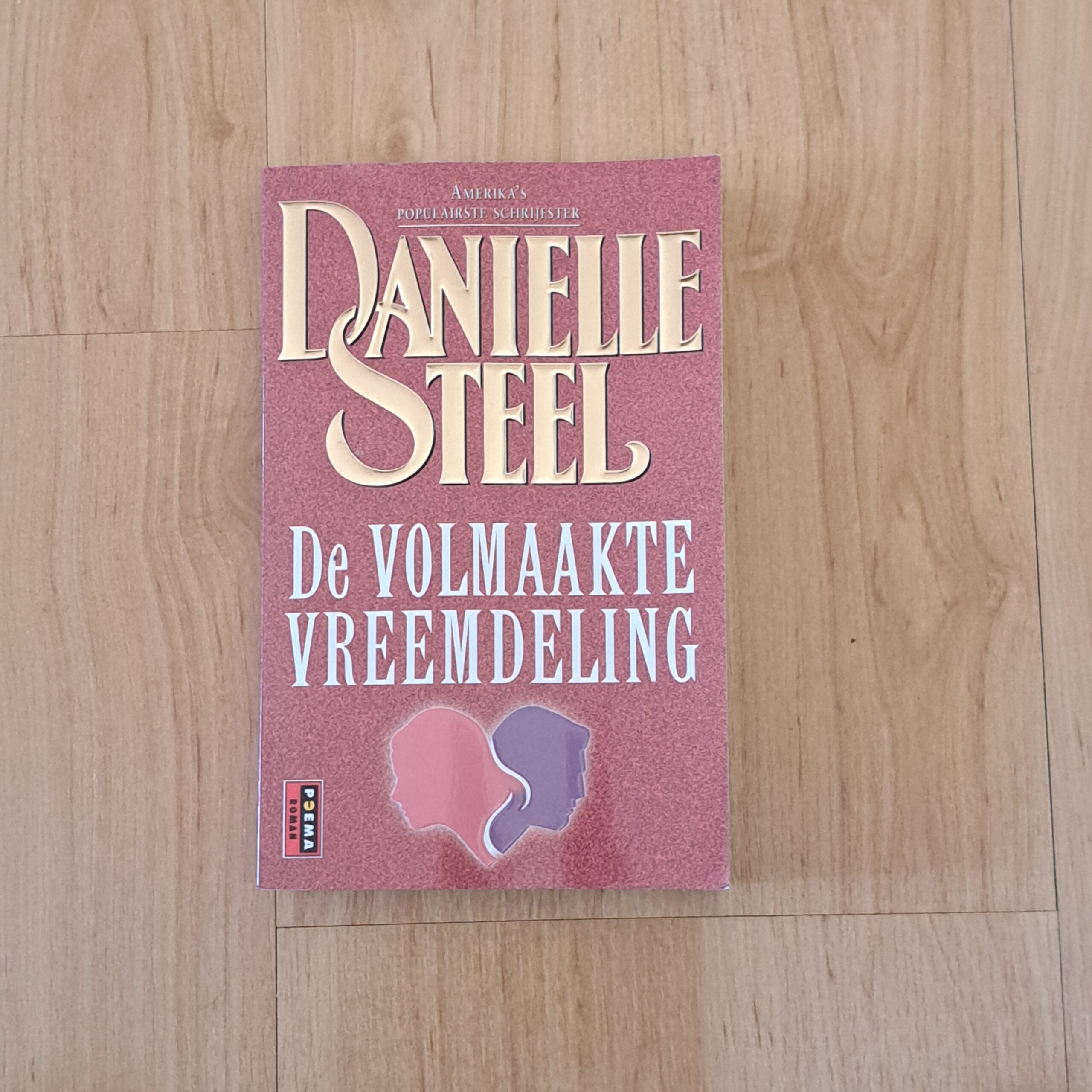Steel, Danielle - De volmaakte vreemdeling