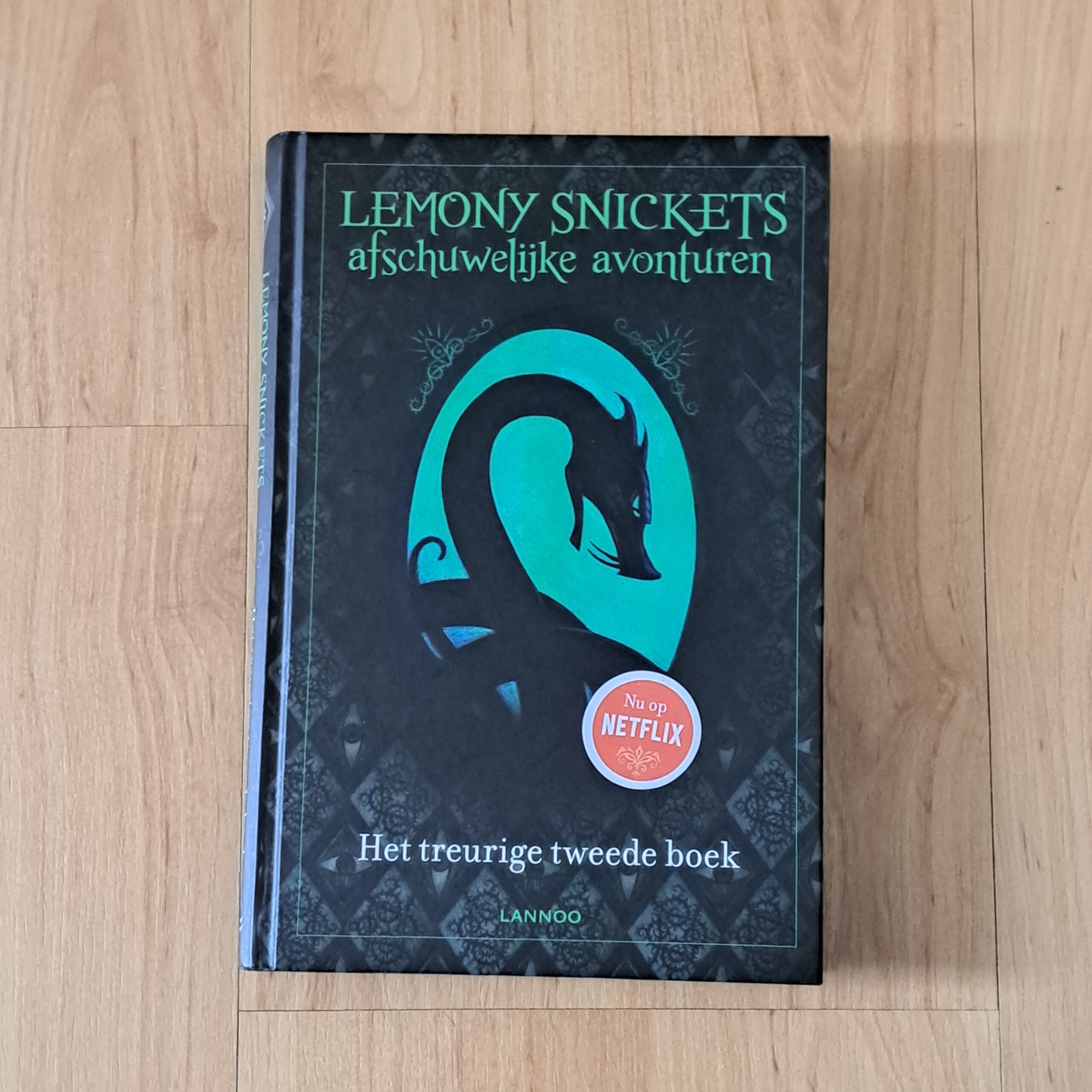 Snicket, Lemony - Het treurige tweede boek
