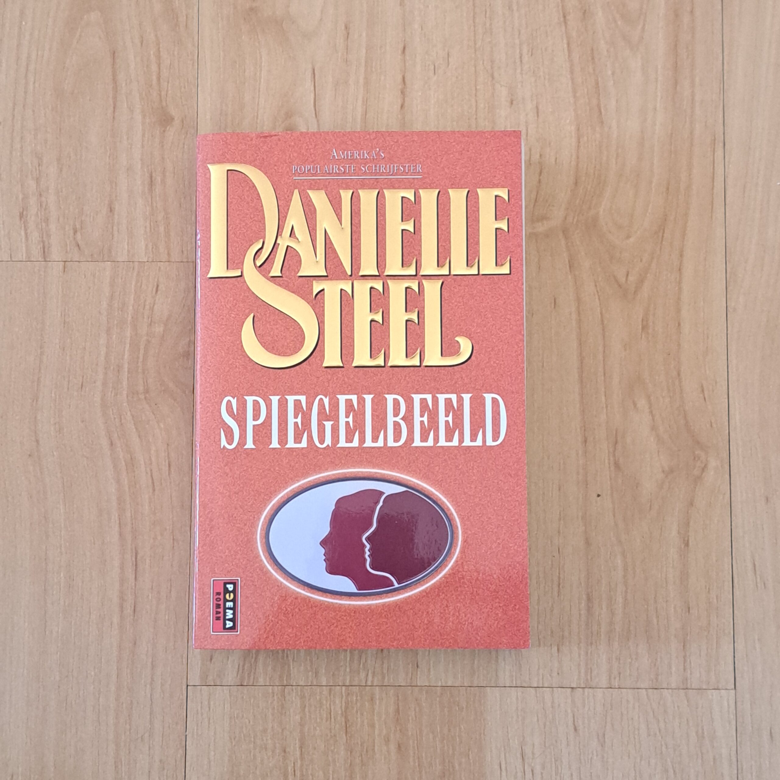 Steel, Danielle - Spiegelbeeld