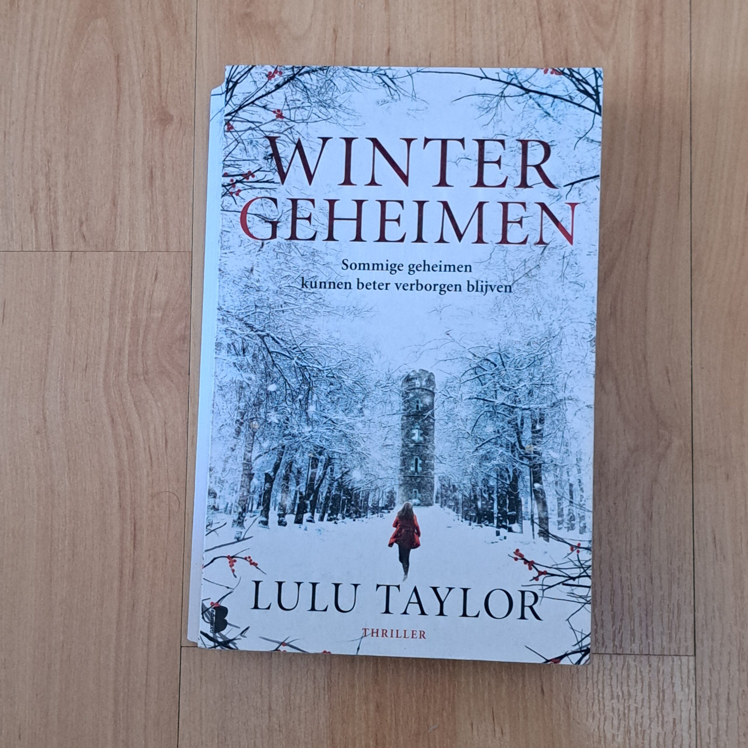 Taylor, Lulu - Wintergeheimen