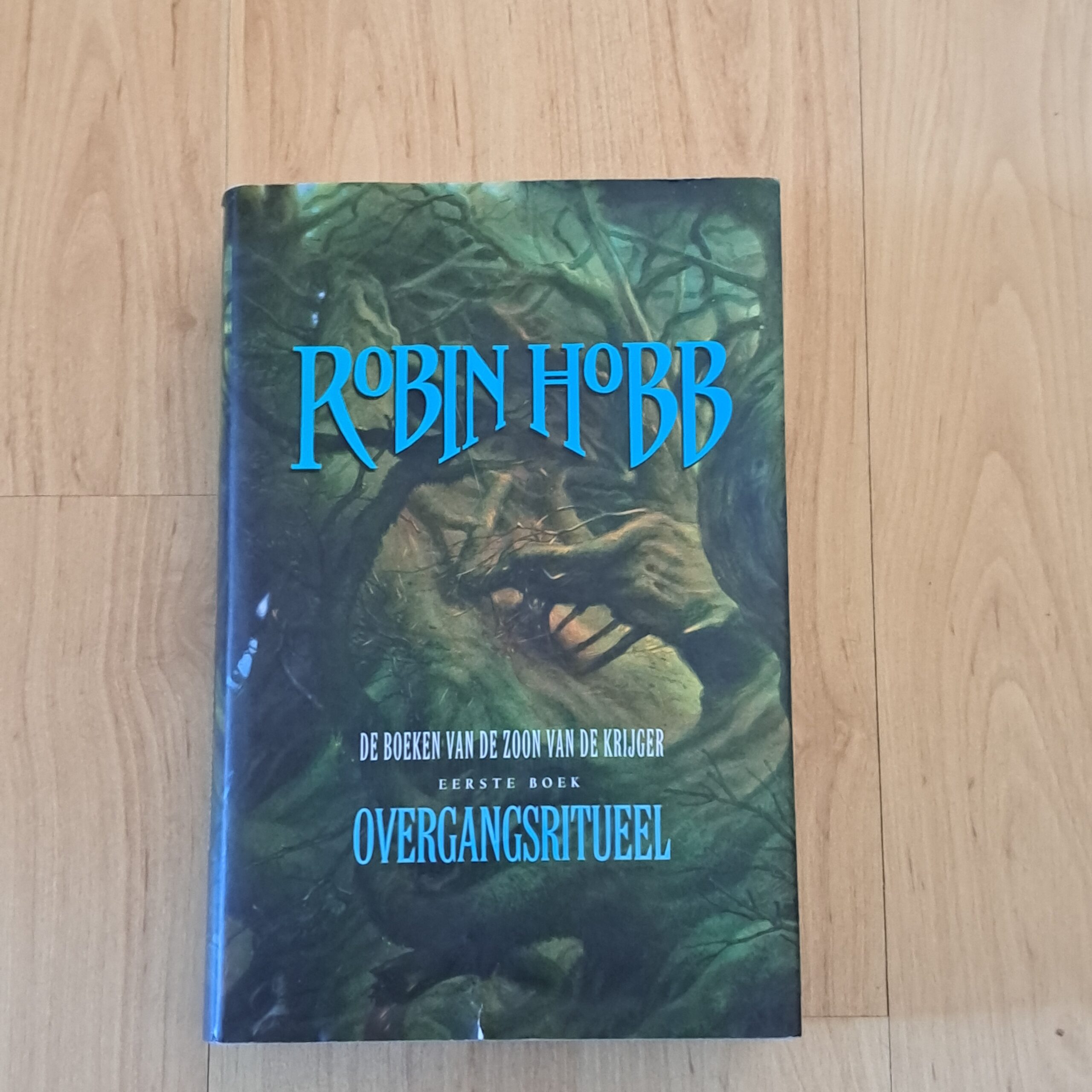 Hobb, Robin - Overgangsritueel